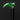 Malachite Walking Cane with Elegant Maple Burl Handle - Tiegent