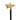 Shark-Themed Walking Cane from Exclusive Limited Collection - Tiegent