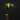 Toucan Handle Walking Cane - Stylish and Functional Daily Support - Tiegent