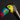 Toucan Handle Walking Cane - Stylish and Functional Daily Support - Tiegent