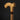 Curly Maple Burl Artistic Walking Cane - Classic Design for Style and Support - Tiegent