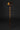 Antique Lion Head Walking Cane - Vintage Wooden Stick with Elegant Design - Tiegent