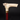 Wolf Head Walking Cane Travel-Friendly 3-Piece Design with Ivory Resin Handle - Tiegent