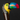 Toucan Handle Walking Cane - Stylish and Functional Daily Support - Tiegent