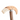 Wild Boar Tusk Walking Cane - Exquisite Mens Cane for Style and Support - Tiegent