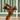 Ergonomic Golden Retriever Walking Cane with Comfort Grip - Tiegent