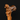 Ergonomic Golden Retriever Walking Cane with Comfort Grip - Tiegent