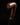 Elegant Wood Walking Cane with Detailed Craftsmanship - Available in All Sizes - Tiegent