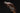 Hand-Carved Falconry Walking Cane for Seniors Elegant and Functional Support - Tiegent