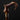 Rams Horn Walking Stick - Unique Handcrafted Cane for Hiking and Collecting - Tiegent