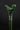 Green Derby Handle Walking Cane for Unisex Use - Stylish Topaz Walking Stick - Tiegent