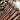 Chestnut Walking Stick with Root and Crook Handle - Elegant Support for Strolling - Tiegent