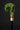 Green Burl Handle Walking Cane – Modern and Comfortable - Tiegent