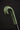 Khaki Crook Walking Stick – Classic Leather Handle Cane - Tiegent